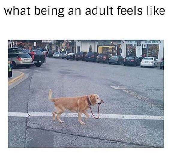 What being an Adult Feels