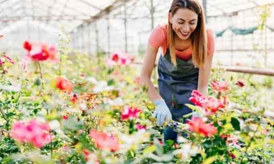 Floriculturist