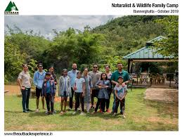 The Outback Experience - a group photo of kids with their families across a green and hilly region while camping