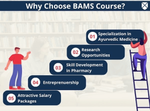 bams course