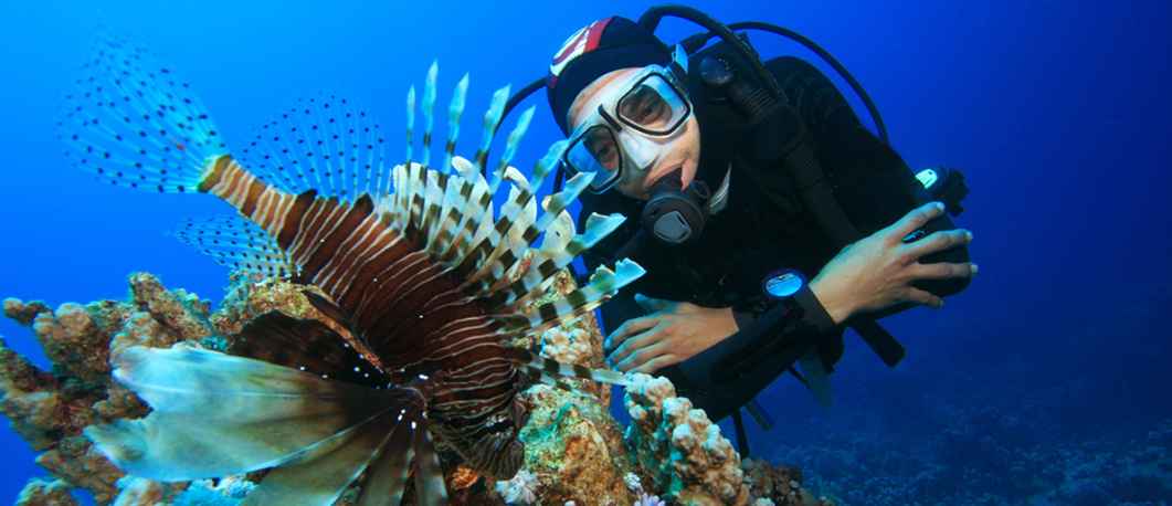 Marine Biologist