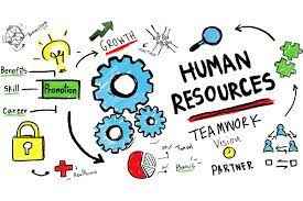 Human Resource Teamwork