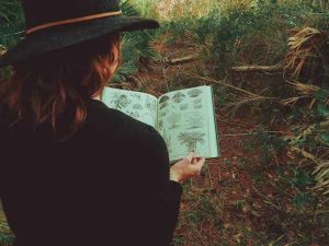 Educational Pathways To Becoming A Naturalist